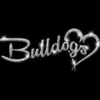 GLT6 SILVER GLITTER Thumbnail